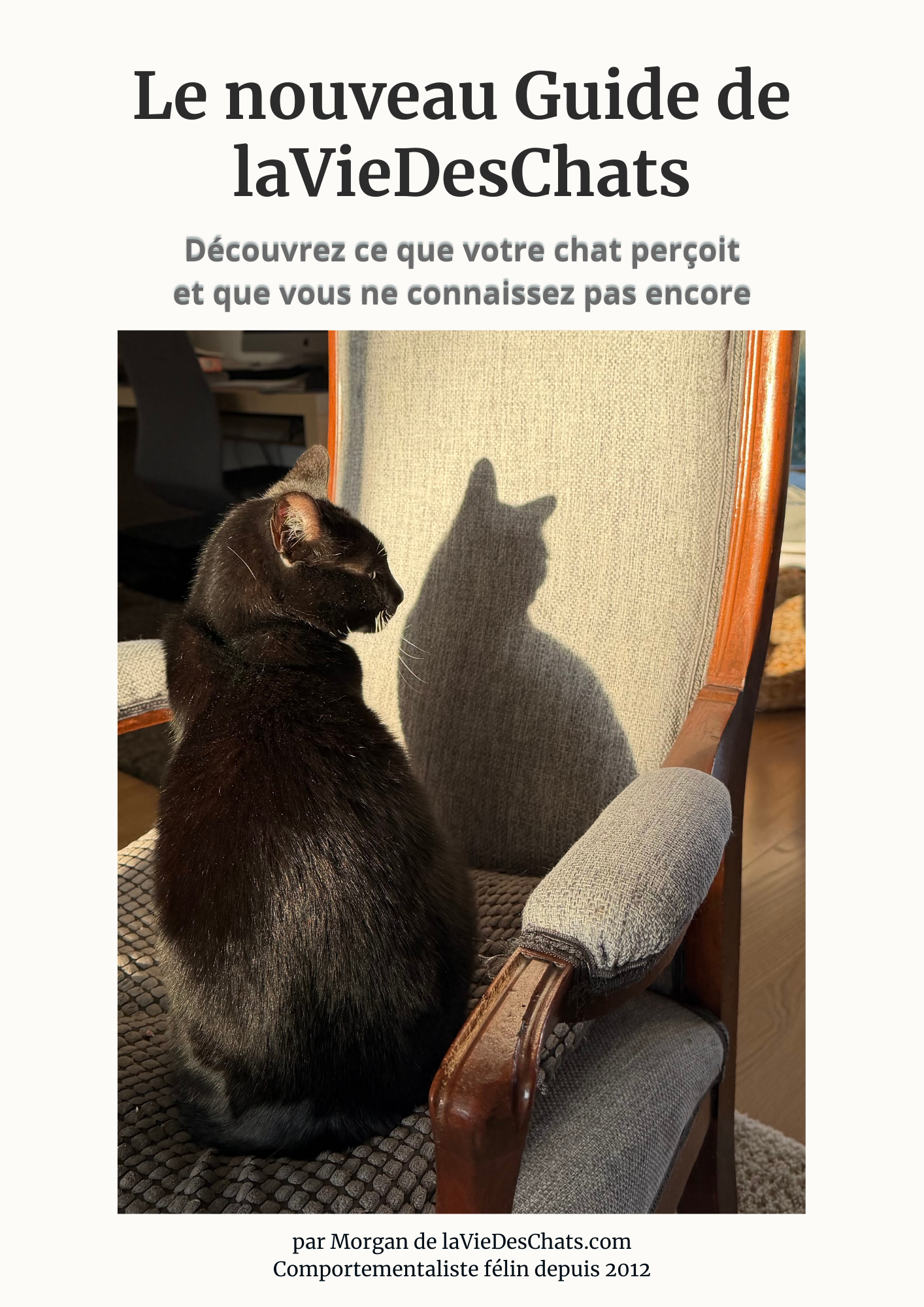 laVieDesChats.com